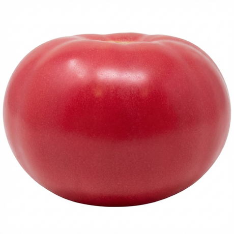 Tomato Rose Crush from Cedar Nursery, Cobham