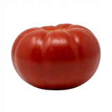 Tomato Supersteak from Cedar Nursery, Cobham