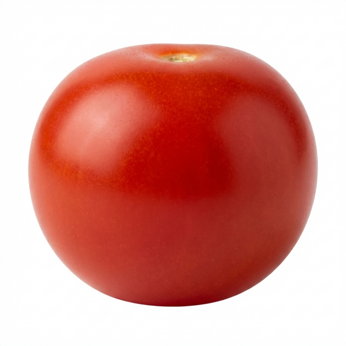 Tomato Tumbling Tom from Cedar Nursery, Cobham