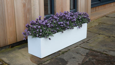 Trough Shaped Garden Planters Collection Image