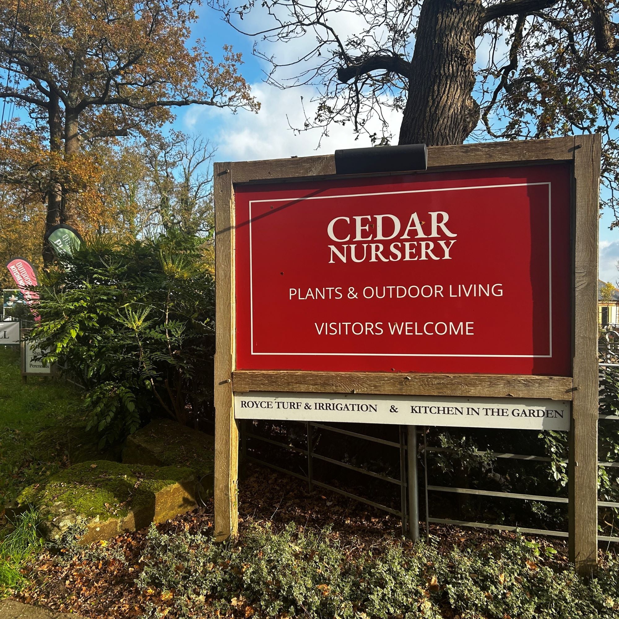 Visit Cedar Nursery in Cobham, Surrey