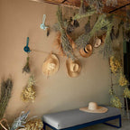 Acrobate Peg - Cedar Nursery - Plants and Outdoor Living