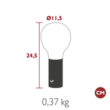 Aplo Lamp - Cedar Nursery - Plants and Outdoor Living