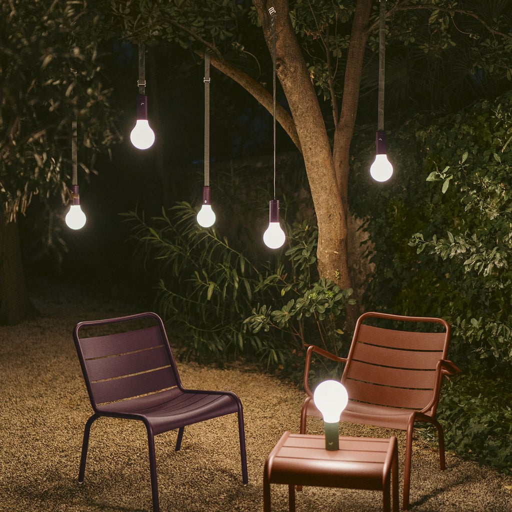 Aplo Lamp - Cedar Nursery - Plants and Outdoor Living