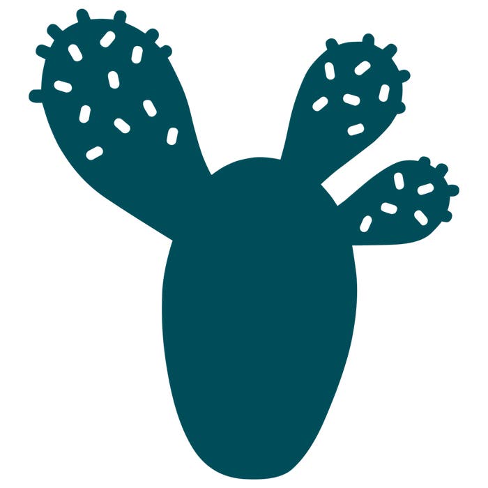 Cactus Trivet - Cedar Nursery - Plants and Outdoor Living