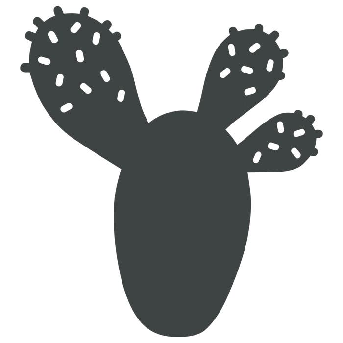 Cactus Trivet - Cedar Nursery - Plants and Outdoor Living