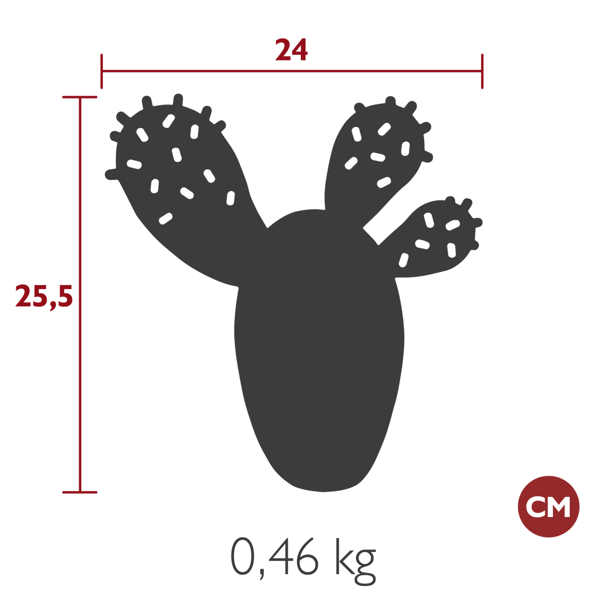 Cactus Trivet - Cedar Nursery - Plants and Outdoor Living