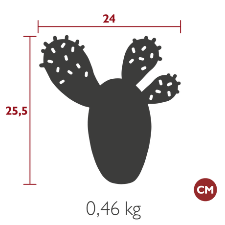 Cactus Trivet - Cedar Nursery - Plants and Outdoor Living
