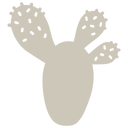 Cactus Trivet - Cedar Nursery - Plants and Outdoor Living