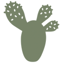 Cactus Trivet - Cedar Nursery - Plants and Outdoor Living