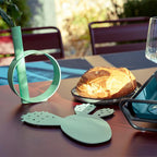 Cactus Trivet - Cedar Nursery - Plants and Outdoor Living