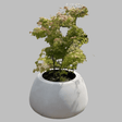 Fibreglass Sea Urchin Planter - Cedar Nursery - Plants and Outdoor Living