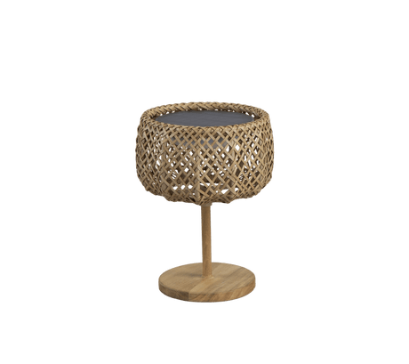 Illusion Glow Table Lamp - Cedar Nursery - Plants and Outdoor Living