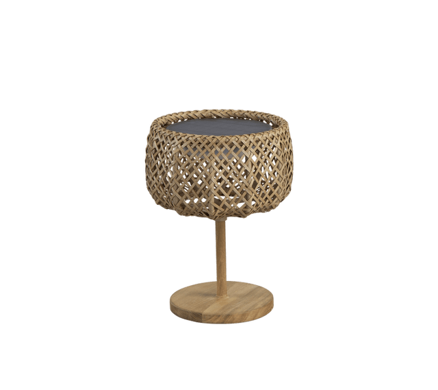 Illusion Glow Table Lamp - Cedar Nursery - Plants and Outdoor Living