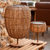 Illusion Glow Table Lamp - Cedar Nursery - Plants and Outdoor Living