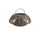 Illusion Hanging Lamp - Cedar Nursery - Plants and Outdoor Living