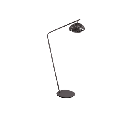 Illusion Hanging Lamp - Cedar Nursery - Plants and Outdoor Living