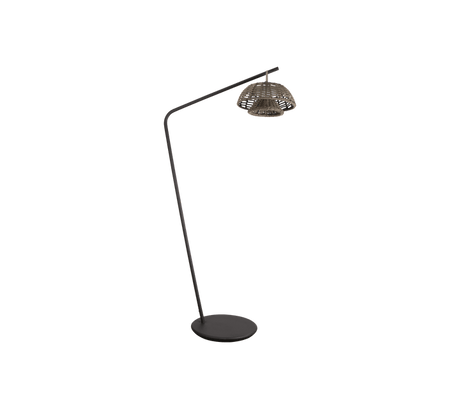 Illusion Hanging Lamp - Cedar Nursery - Plants and Outdoor Living