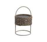 Illusion Lamp - Cedar Nursery - Plants and Outdoor Living