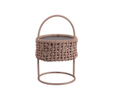 Illusion Lamp - Cedar Nursery - Plants and Outdoor Living