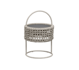 Illusion Lamp - Cedar Nursery - Plants and Outdoor Living