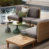 Illusion Lamp - Cedar Nursery - Plants and Outdoor Living