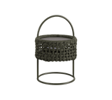 Illusion Lamp - Cedar Nursery - Plants and Outdoor Living