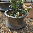 Jura Planter - Cedar Nursery - Plants and Outdoor Living