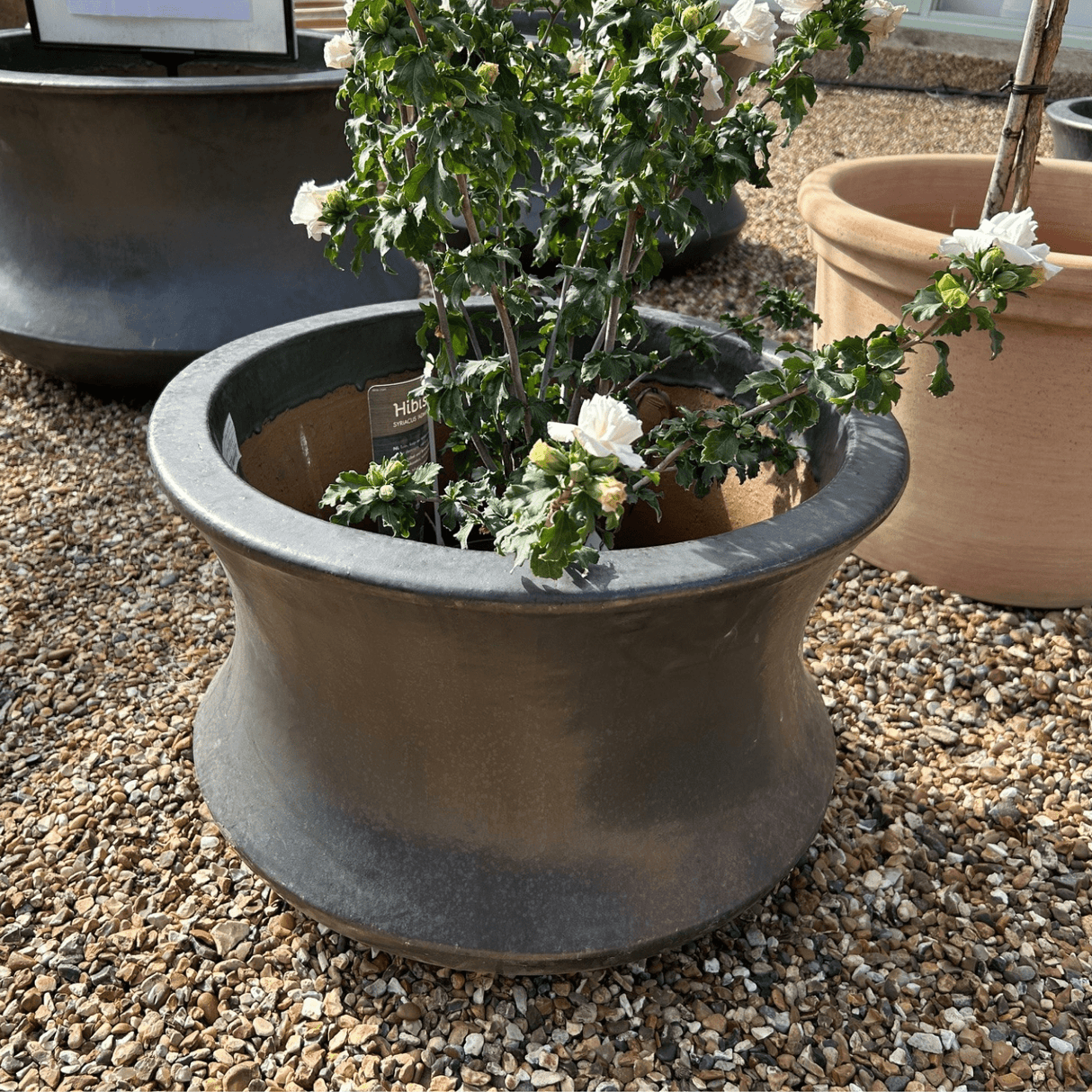 Jura Planter - Cedar Nursery - Plants and Outdoor Living