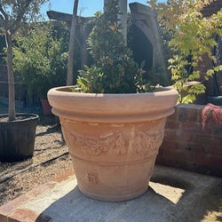 Terracotta Tuscany Festonato Planter