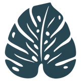 Monstera Trivet - Cedar Nursery - Plants and Outdoor Living