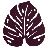 Monstera Trivet - Cedar Nursery - Plants and Outdoor Living