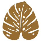Monstera Trivet - Cedar Nursery - Plants and Outdoor Living