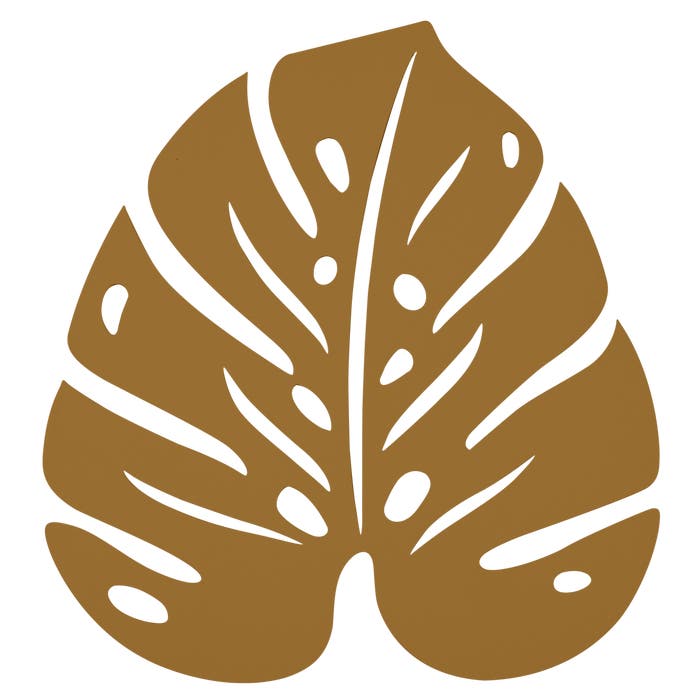 Monstera Trivet - Cedar Nursery - Plants and Outdoor Living