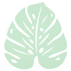 Monstera Trivet - Cedar Nursery - Plants and Outdoor Living
