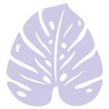 Monstera Trivet - Cedar Nursery - Plants and Outdoor Living