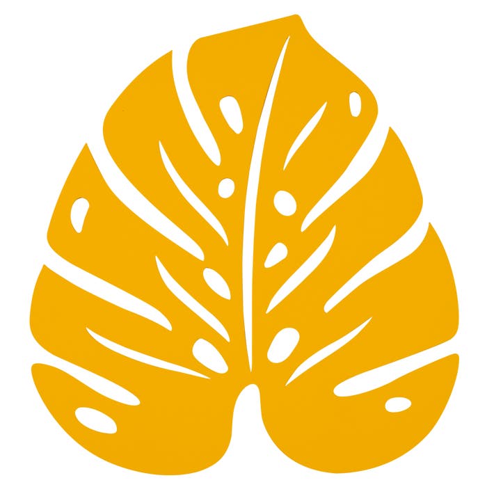 Monstera Trivet - Cedar Nursery - Plants and Outdoor Living