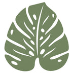 Monstera Trivet - Cedar Nursery - Plants and Outdoor Living