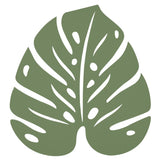 Monstera Trivet - Cedar Nursery - Plants and Outdoor Living