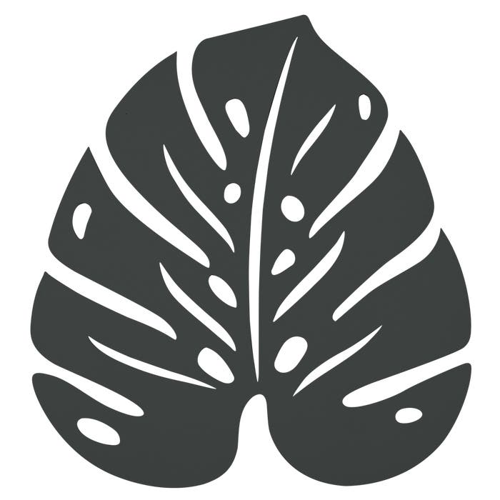 Monstera Trivet - Cedar Nursery - Plants and Outdoor Living