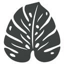 Monstera Trivet - Cedar Nursery - Plants and Outdoor Living