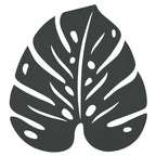 Monstera Trivet - Cedar Nursery - Plants and Outdoor Living