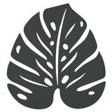 Monstera Trivet - Cedar Nursery - Plants and Outdoor Living