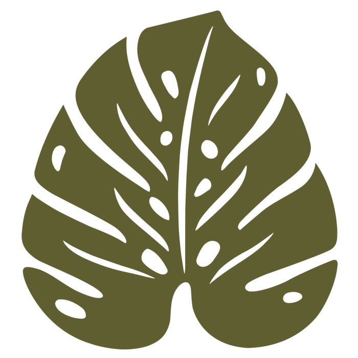 Monstera Trivet - Cedar Nursery - Plants and Outdoor Living