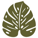 Monstera Trivet - Cedar Nursery - Plants and Outdoor Living