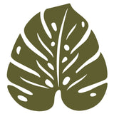 Monstera Trivet - Cedar Nursery - Plants and Outdoor Living