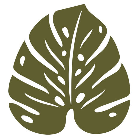 Monstera Trivet - Cedar Nursery - Plants and Outdoor Living