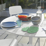 Monstera Trivet - Cedar Nursery - Plants and Outdoor Living