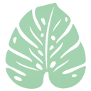 Monstera Trivet - Cedar Nursery - Plants and Outdoor Living