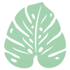 Monstera Trivet - Cedar Nursery - Plants and Outdoor Living